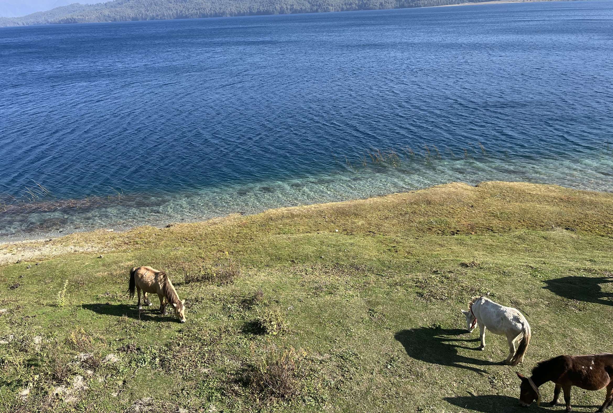 rara lake (27).jpg